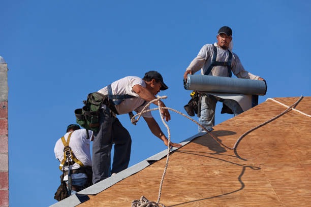 Best Roof Installation Near Me  in South Bloomfield, OH