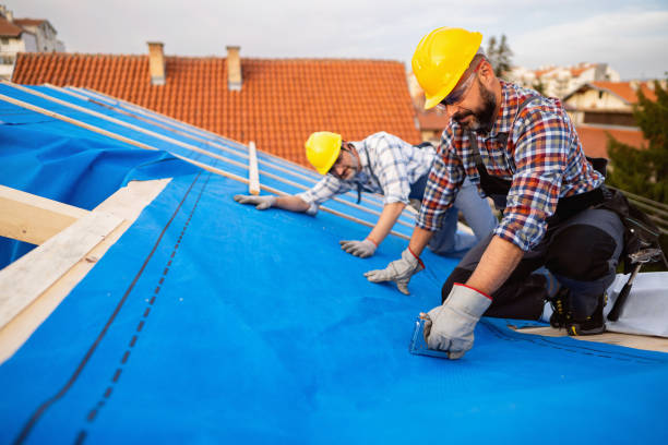 Best Metal Roofing Contractor  in South Bloomfield, OH