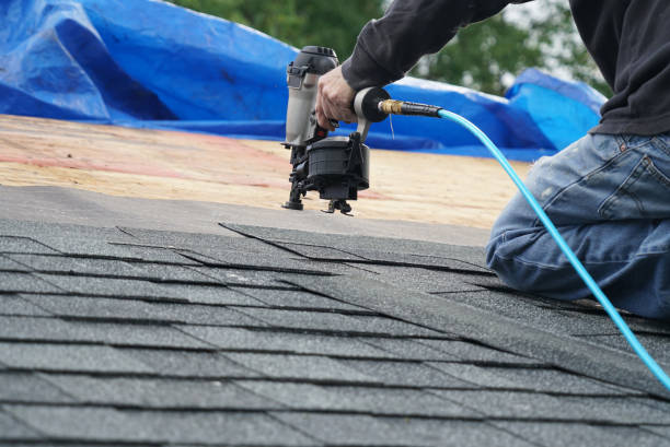 Best Roof Leak Repair  in South Bloomfield, OH
