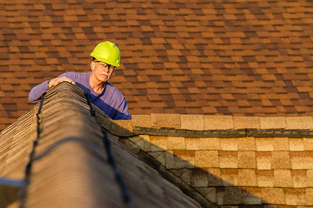 Best Metal Roofing Contractor  in South Bloomfield, OH