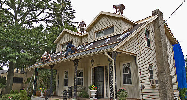 Best Roof Waterproofing Services  in South Bloomfield, OH