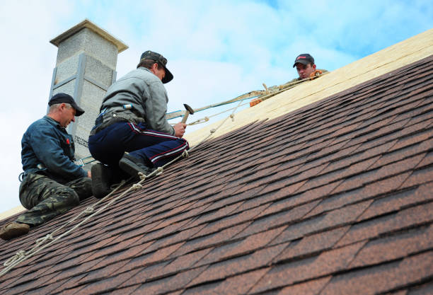 Roof Gutter Cleaning in South Bloomfield, OH